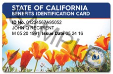 Dental Card Image